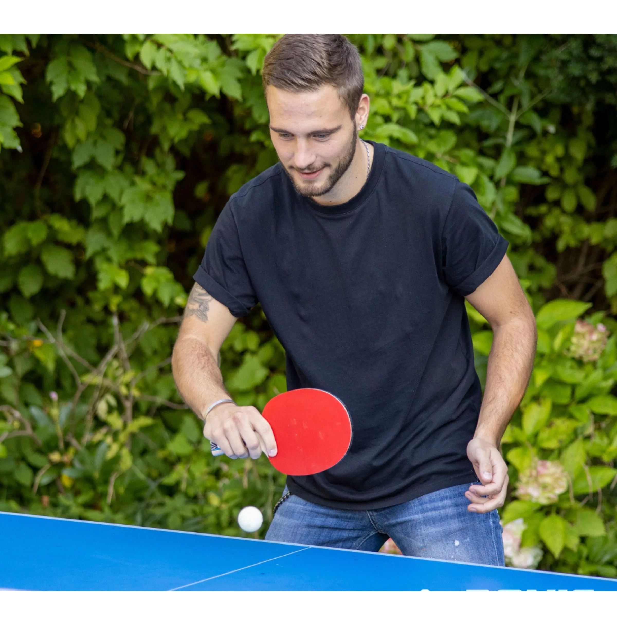 توپ پینگ پنگ دانیک شیلدکروت مدل Elite بسته 6 عددی