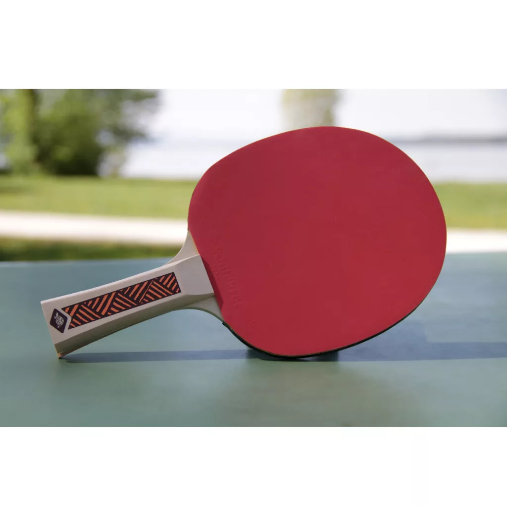 راکت پینگ پنگ دونیک مدل Champs Line 300