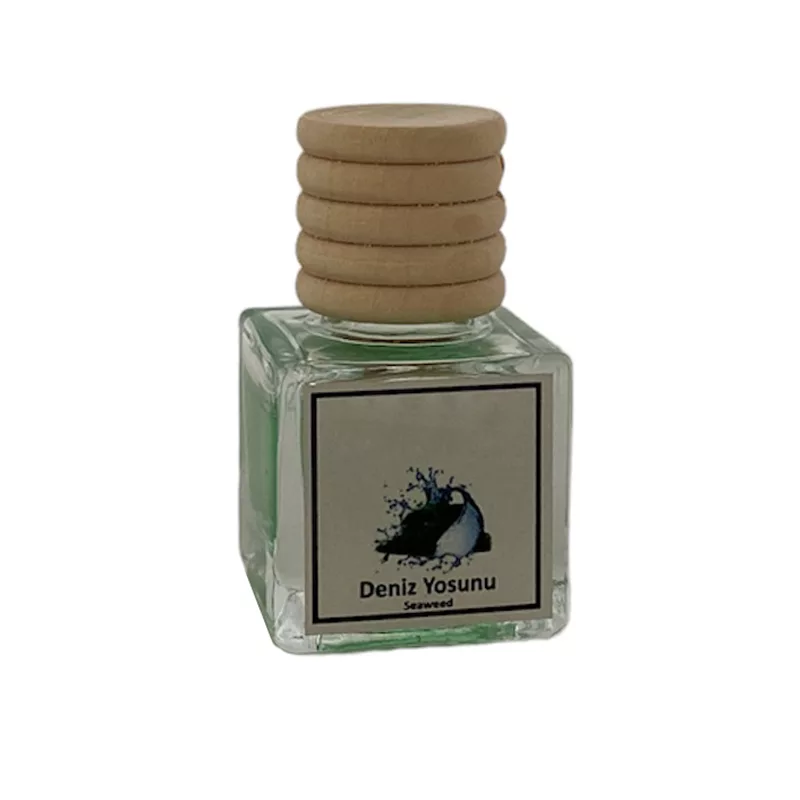 خوشبوکننده خودرو مدل کارامل و جلبک دریایی حجم 10 میلی لیتر مجموعه 2 عددی