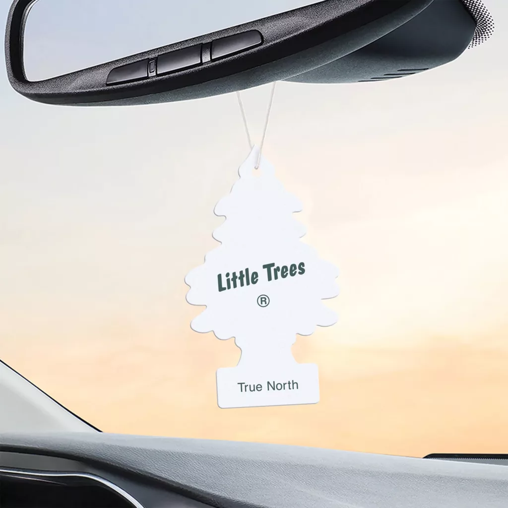خوشبوکننده خودرو لیتل تریس مدل Trees رایحه True North