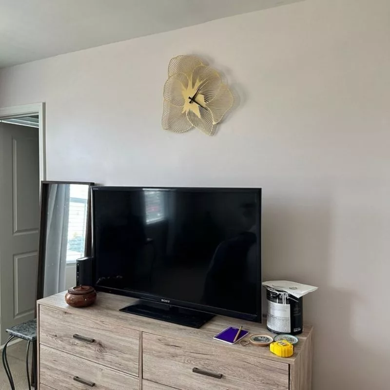 ساعت دیواری اِلیکسار مدل گل آزالیا کد M117