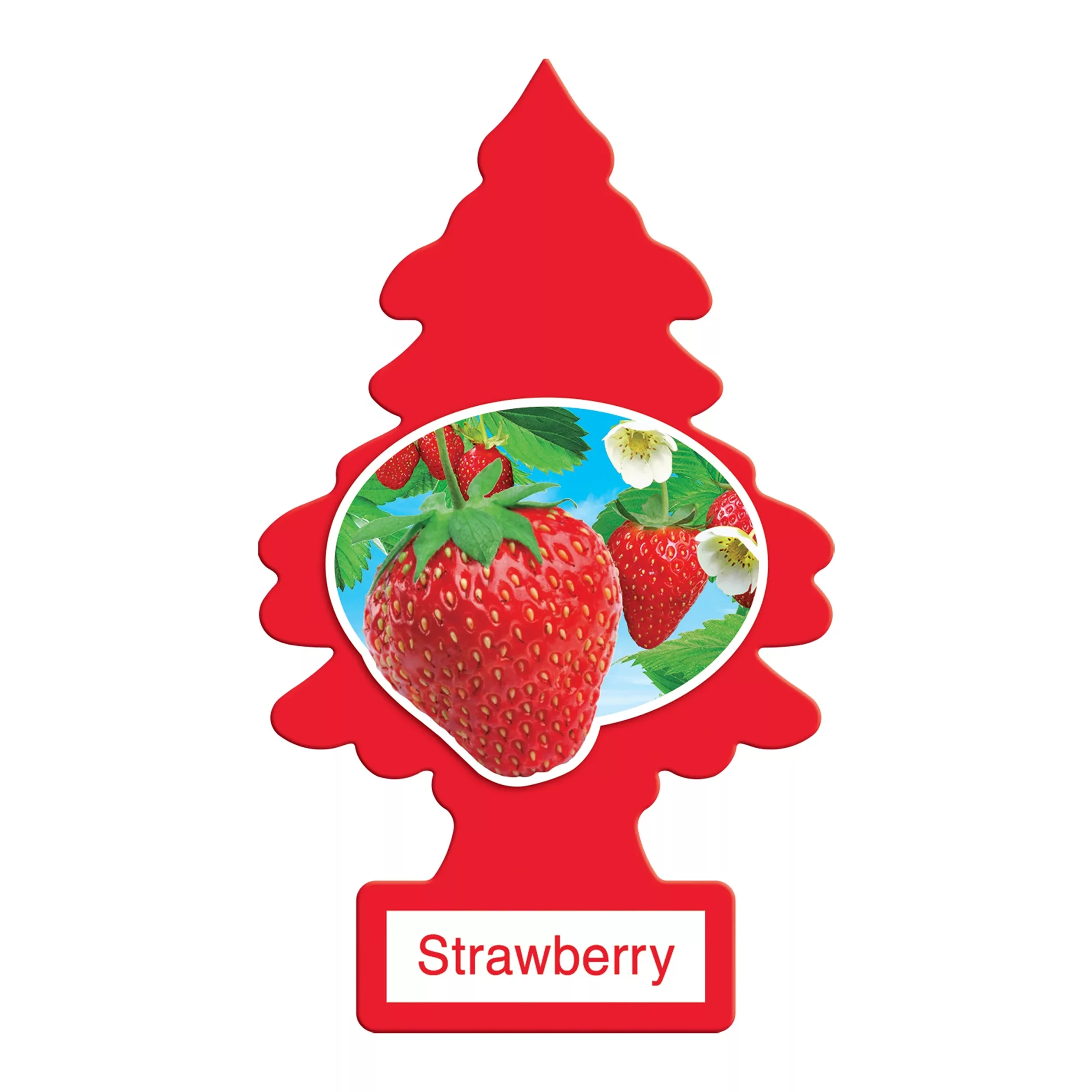 خوشبوکننده خودرو لیتل تریس مدل Trees رایحه Strawberry