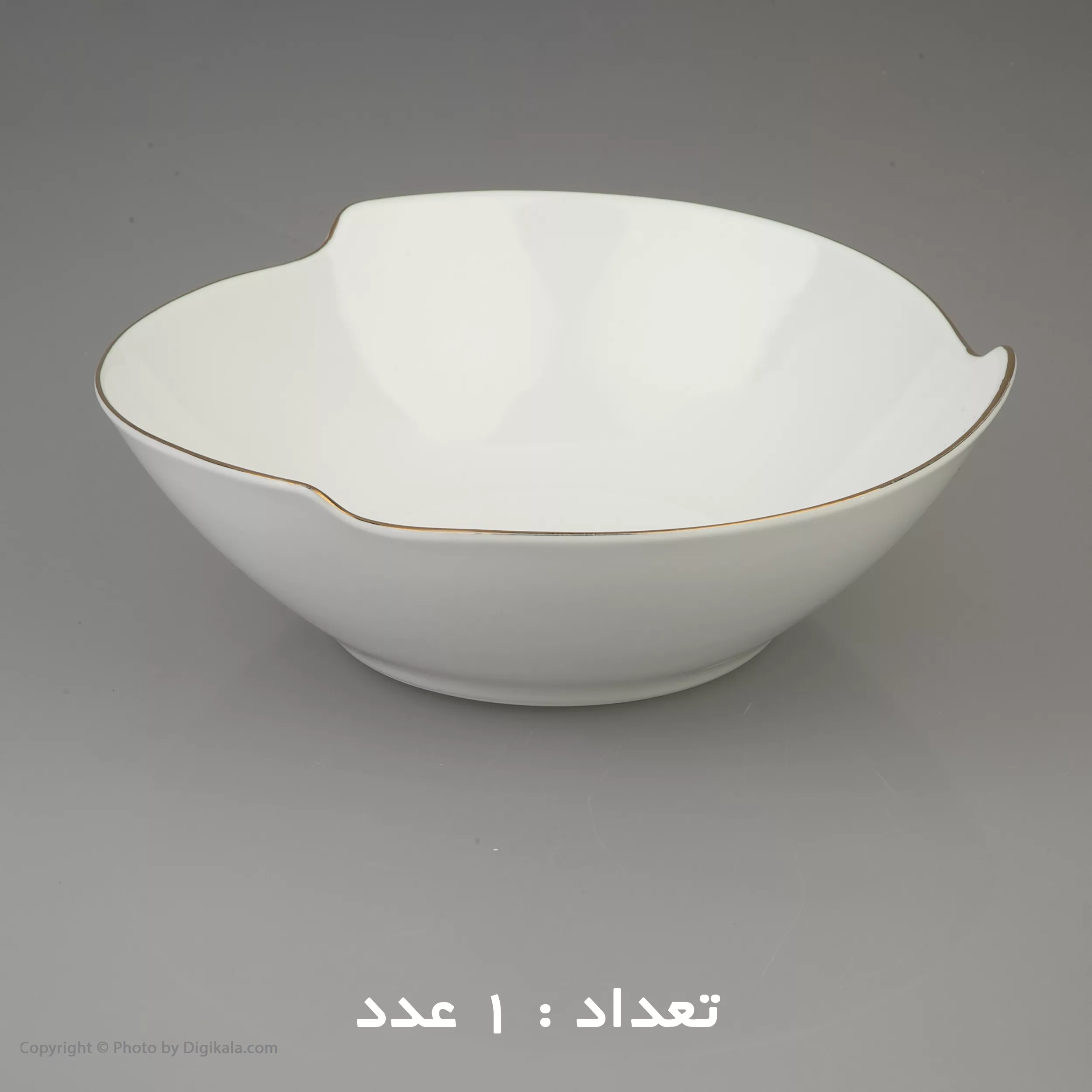 سرویس غذا خوری 30 پارچه شرکت صنایع چینی تقدیس مدل خط طلا