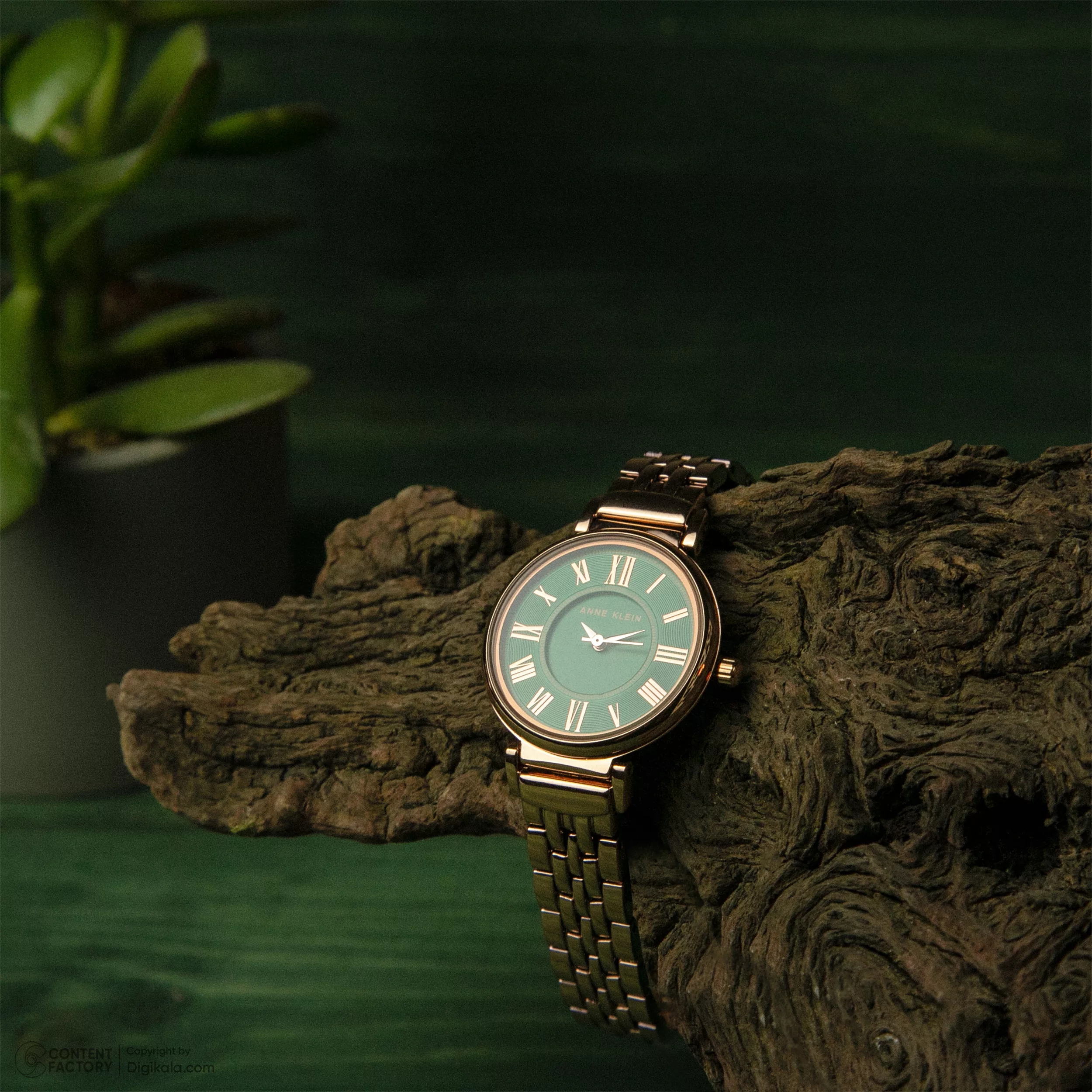 ساعت مچی عقربه ای زنانه آنه کلین مدل  AK/2158-Senator Edition به همراه گردنبند