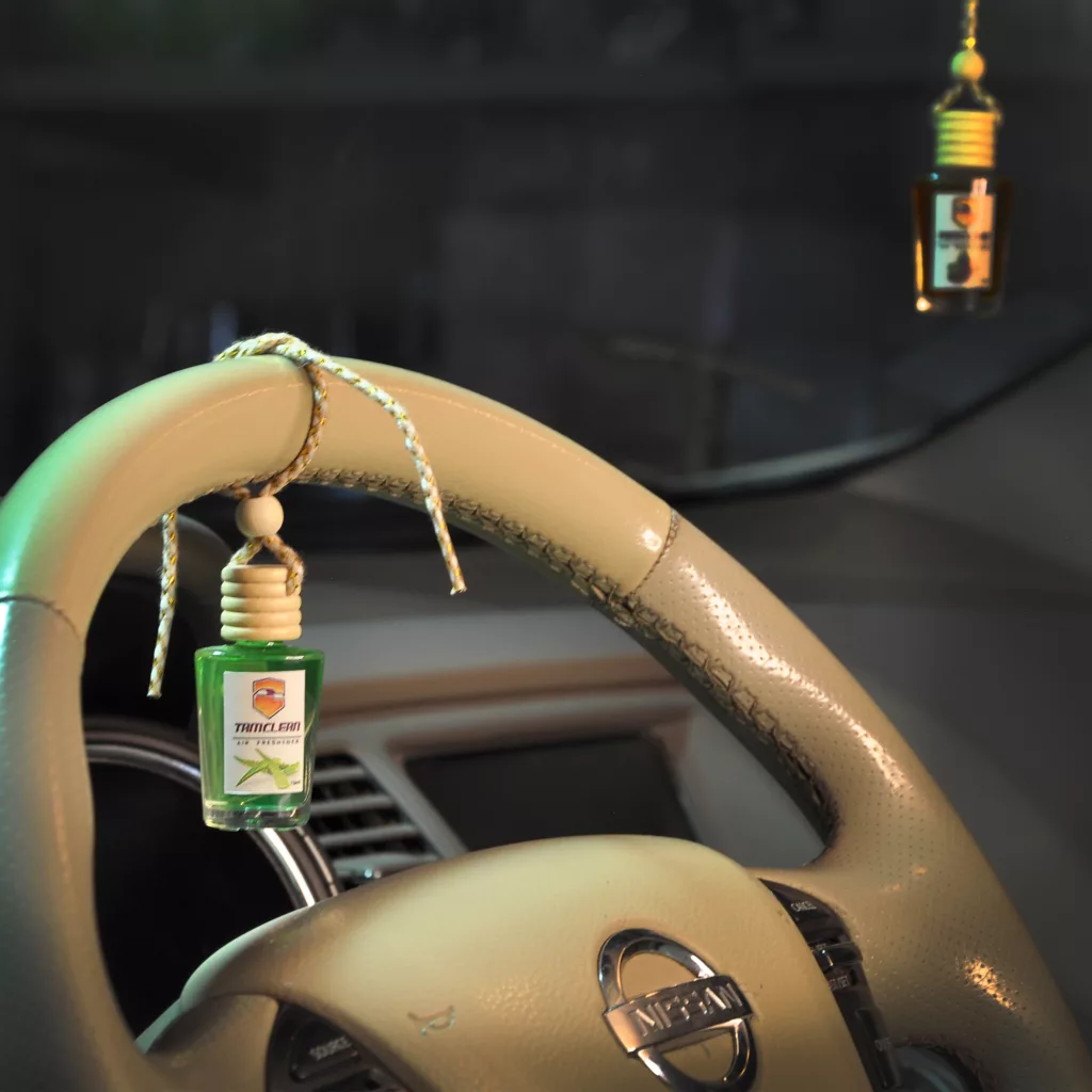 خوشبو کننده خودرو تام کلین مدل TC-FI10NAP حجم 10 میلی لیتر