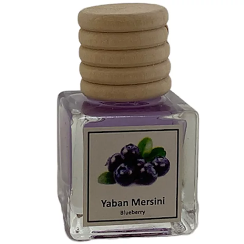 خوشبوکننده خودرو مدل BLUEBERRY حجم 10 میلی لیتر