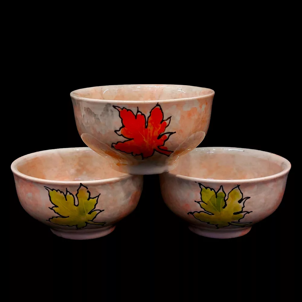 سرویس غذاخوری 24 پارچه مدل پاییزی