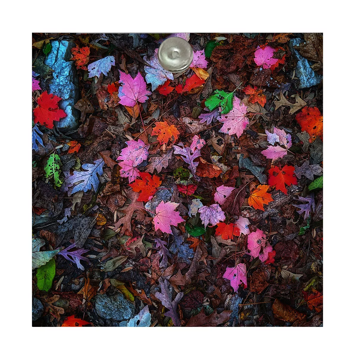 آینه جیبی طرح فانتزی برگ مدل A031