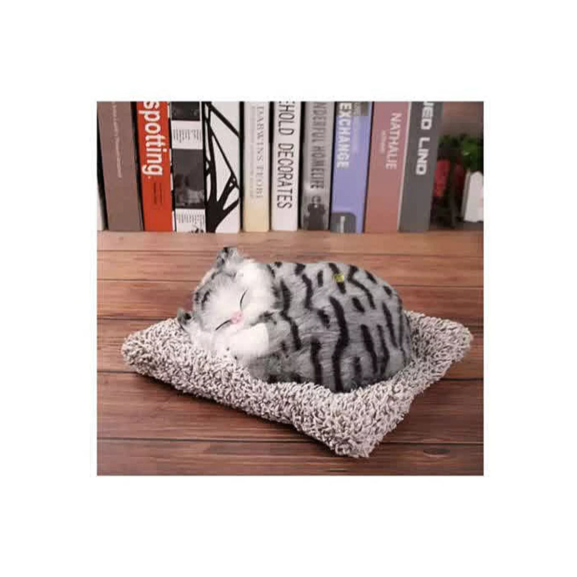 بوگیر خودرو طرح گربه مدل بی ام