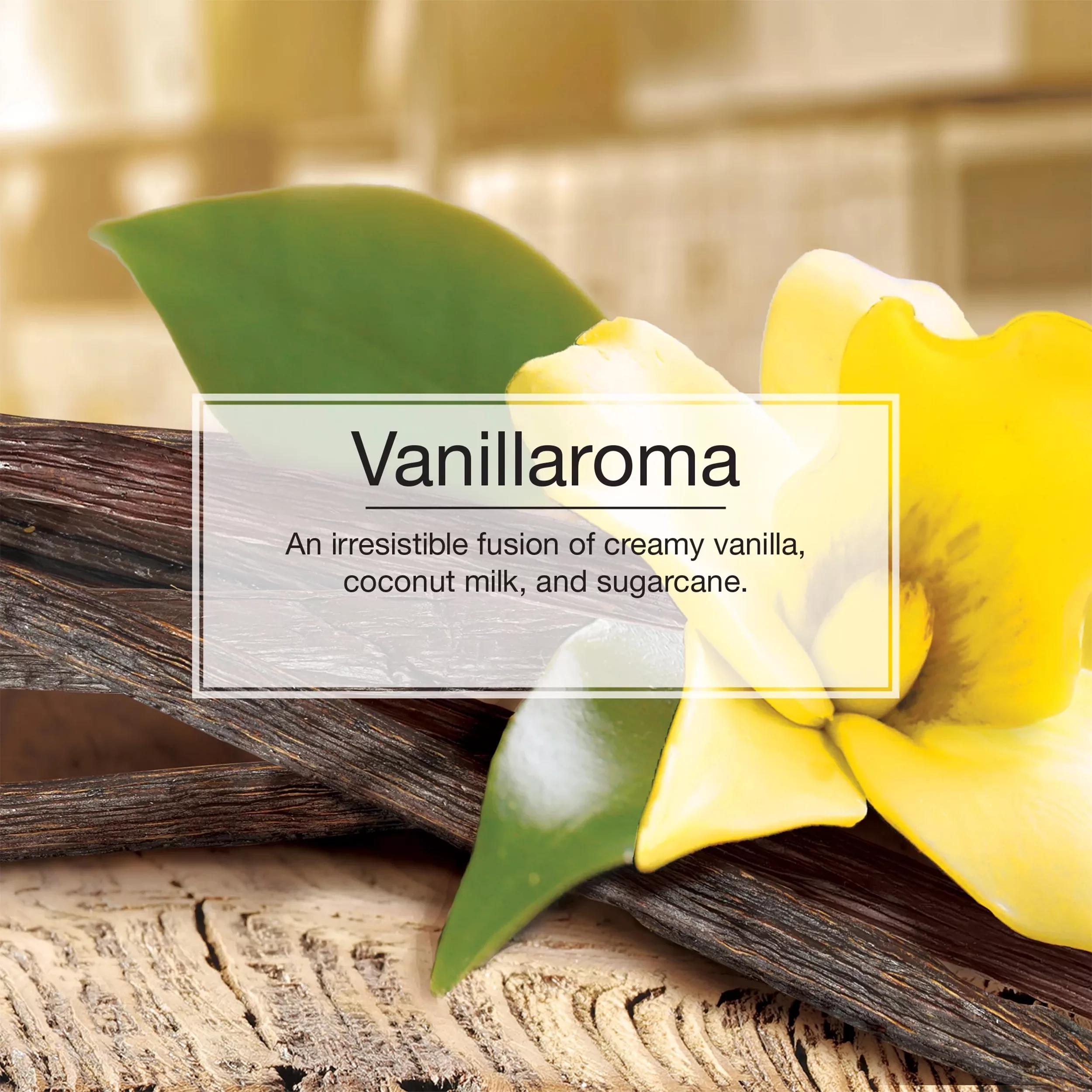 خوشبوکننده خودرو لیتل تریس مدل VENT WARP رایحه Vanillaroma  بسته 4 عددی