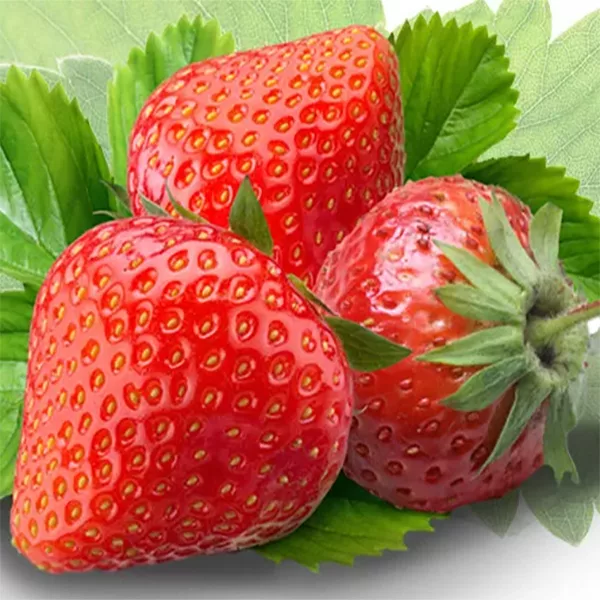 خوشبو کننده خودرو آرئون مدل Strawberry