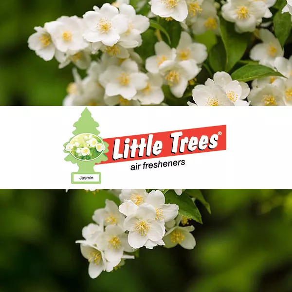 خوشبوکننده خودرو لیتل تریس مدل Jasmin
