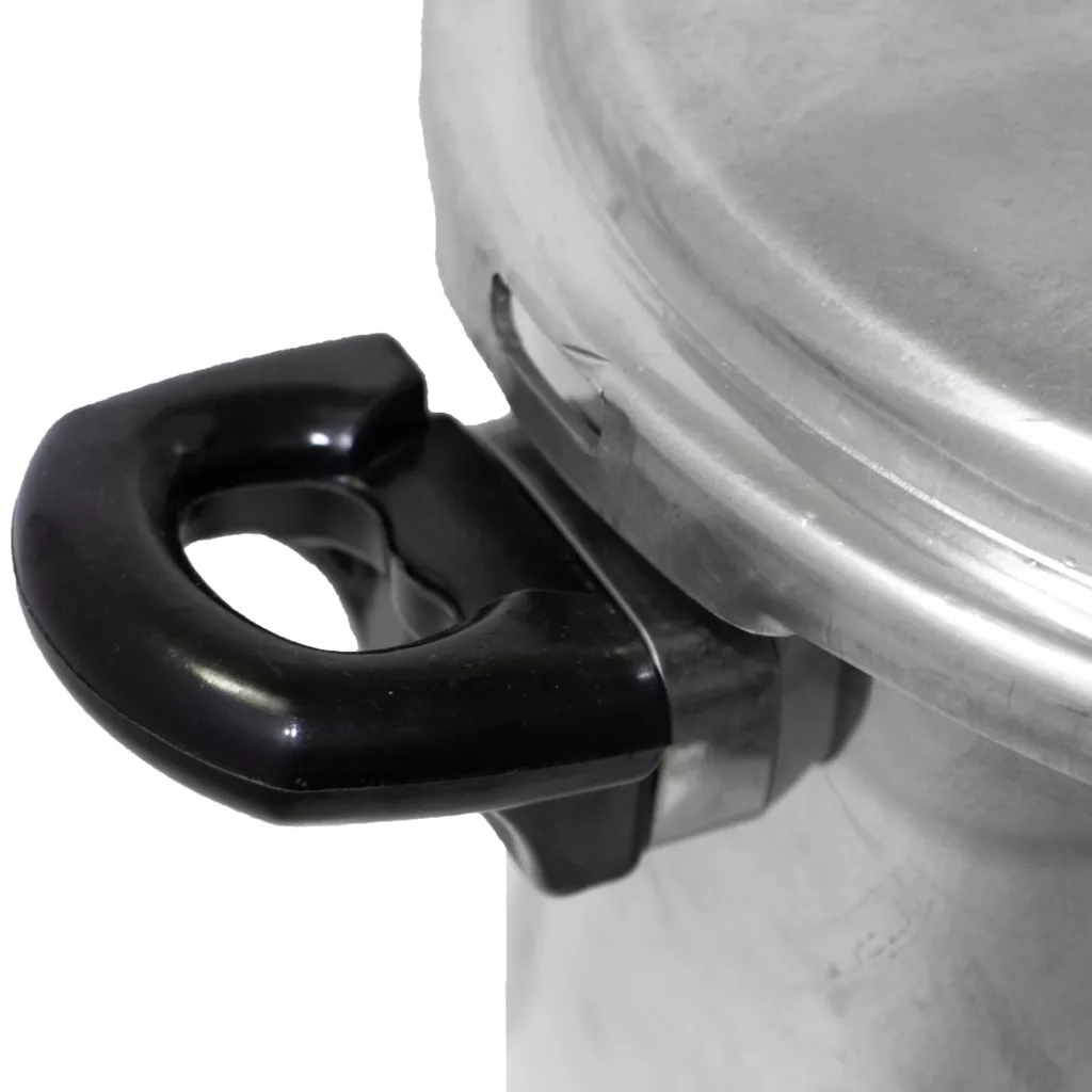 زودپز روشنا مدل تک دسته گنجایش 6 لیتر