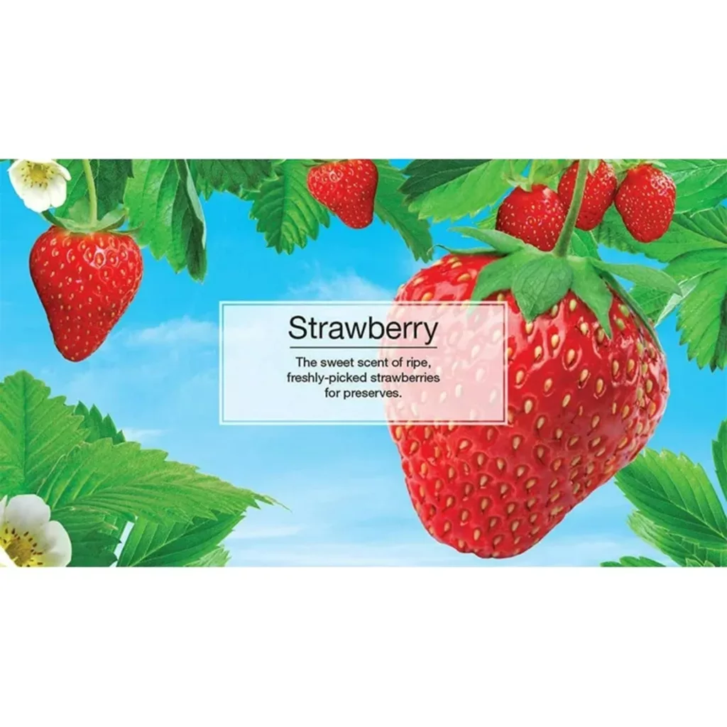 خوشبوکننده خودرو لیتل تریس مدل VENT WARP رایحه Strawbery بسته 4 عددی