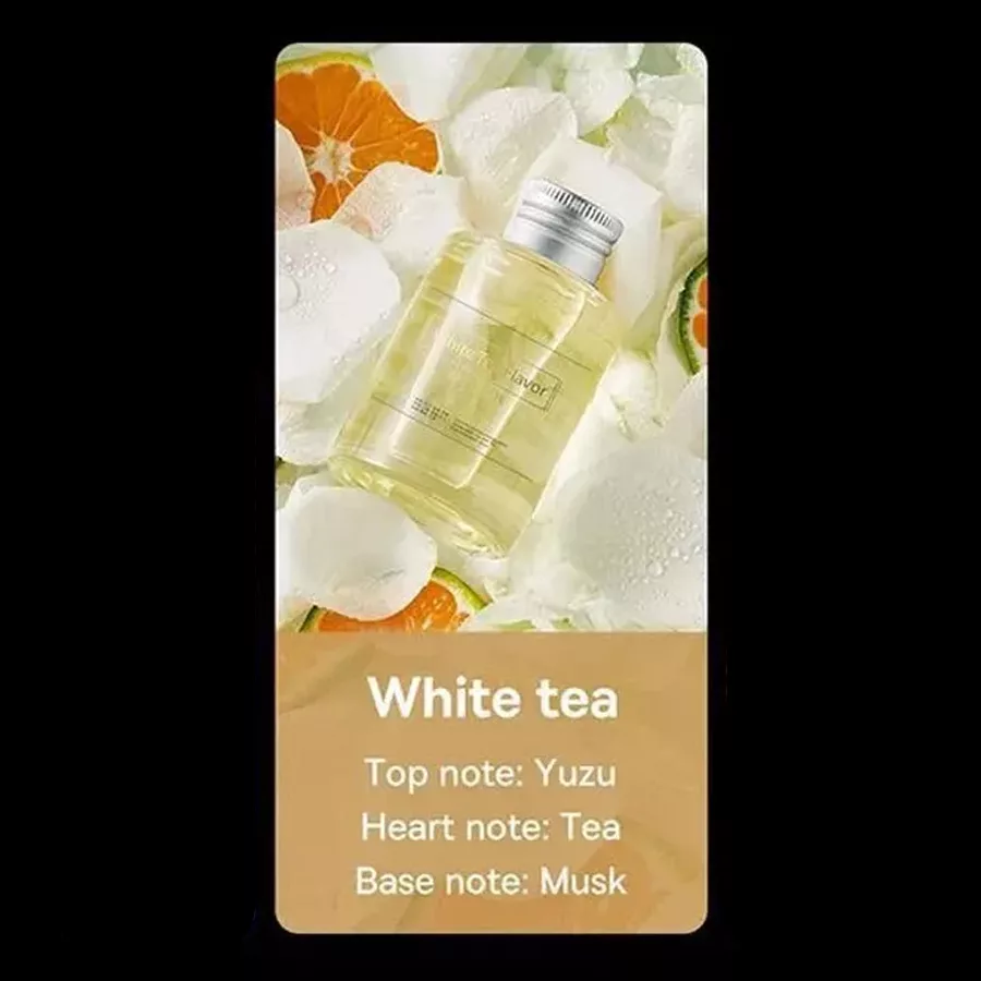 کیت خوشبو کننده هوا خودرو بیسوس مدل CNFX020200