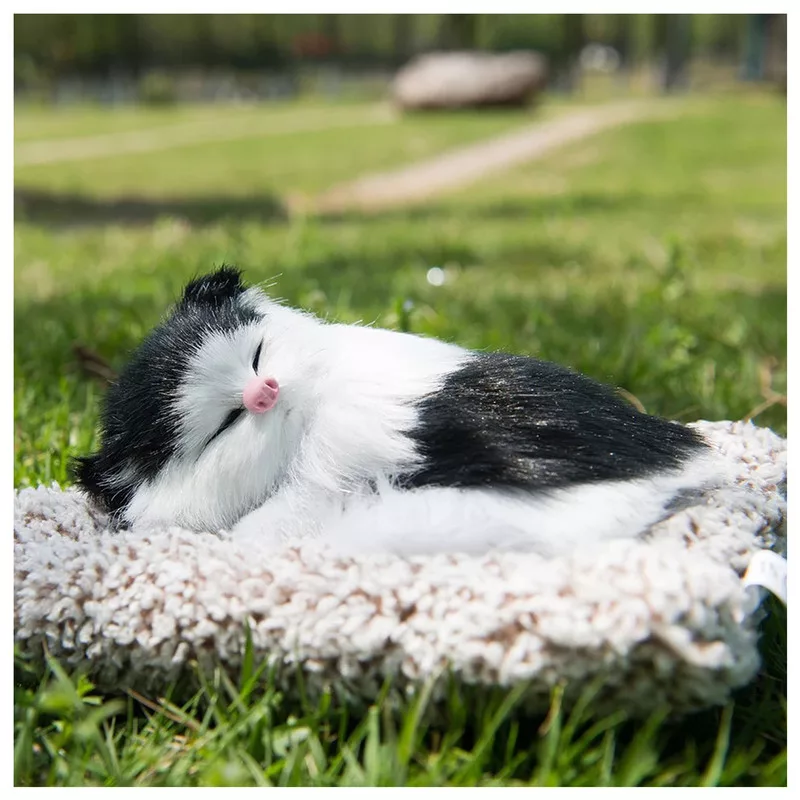 بوگیر خودرو طرح گربه خواب مدل sefmsh