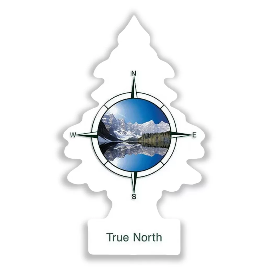خوشبوکننده خودرو لیتل تریس مدل Trees رایحه True North