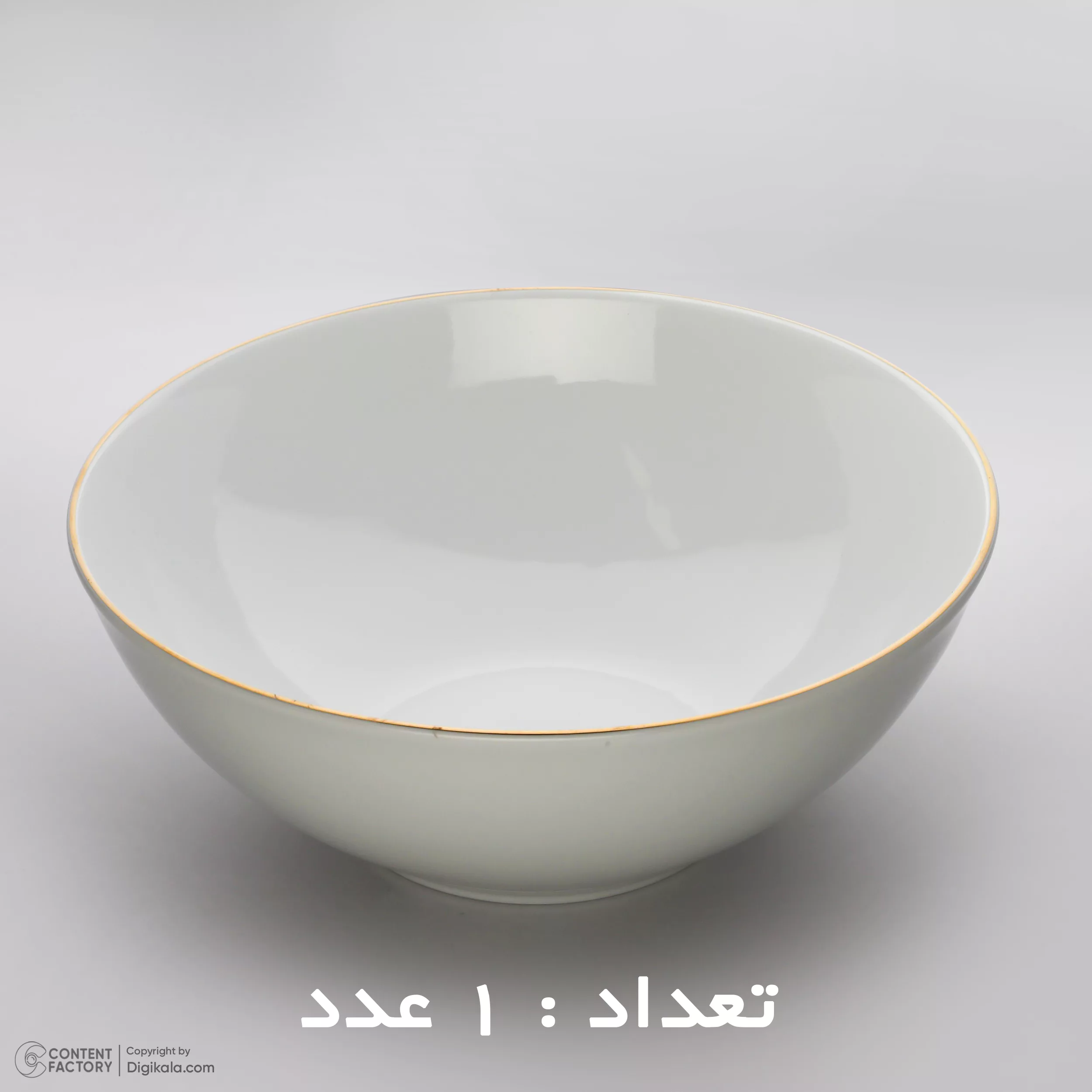 سرویس غذا خوری 30 پارچه شرکت صنایع چینی تقدیس مدل خط طلا کلاسیک