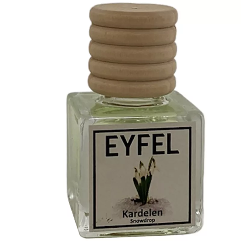 خوشبوکننده خودرو مدل آنجل و گل یخ حجم 10 میلی لیتر مجموعه 2 عددی