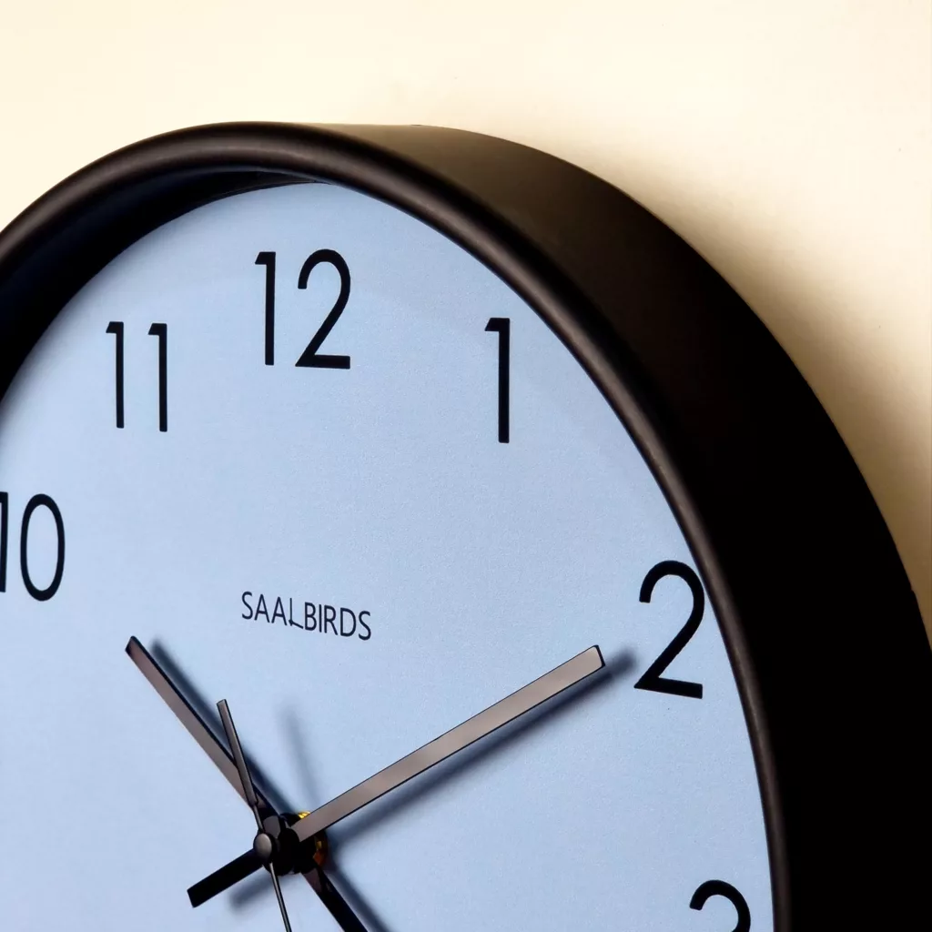 ساعت دیواری سال بردز مدل CW-160