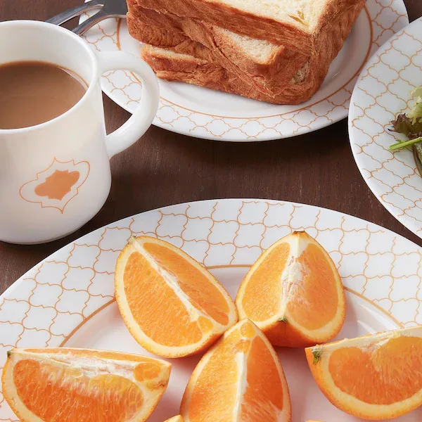 سرویس غذاخوری 16پارچه ایکیا مدل KALASBRA کد  405.157.90