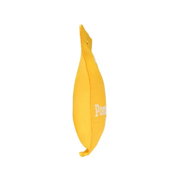 خوشبوکننده خودرو بیسوس مدل  Pomelo Coast BS-CX013