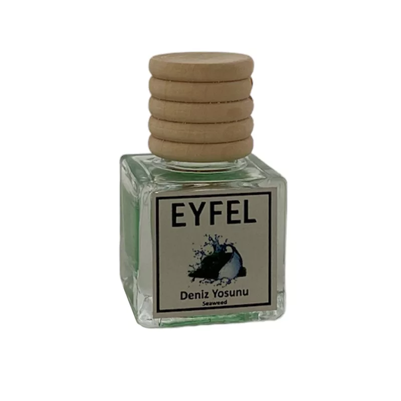 خوشبوکننده خودرو مدل فرشته حجم 10 میلی لیتر