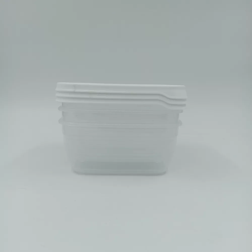 ظرف نگهدارنده هوبی لایف مدل 021039