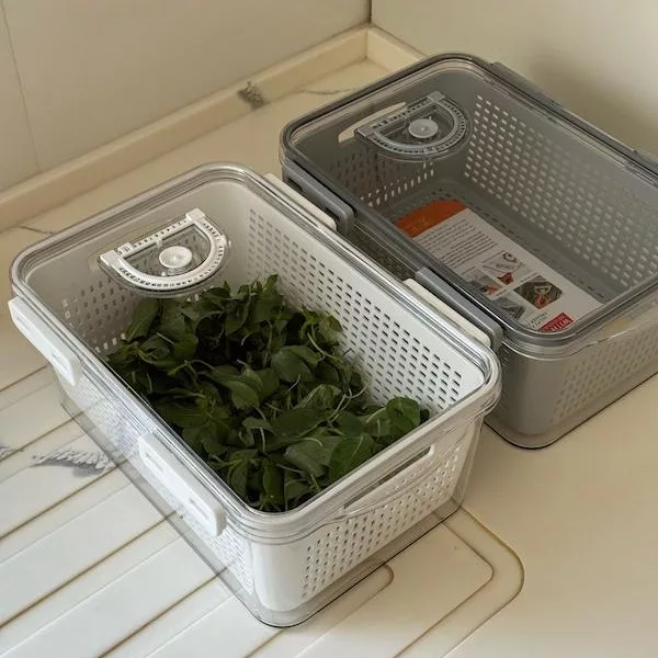 ظرف نگهدارنده لیمون مدل تایمردار کد ۲۴۲۴