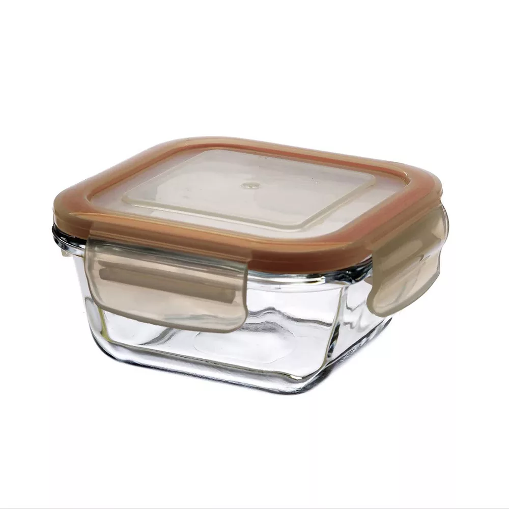 ظرف نگهدارنده مدل ماکسیم