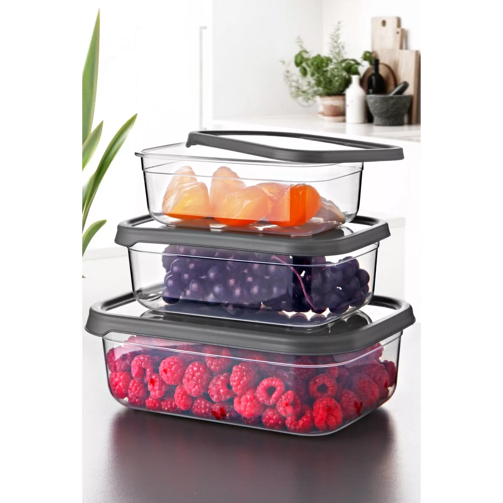 ظرف نگهدارنده مدل 22 مجموعه 3 عددی