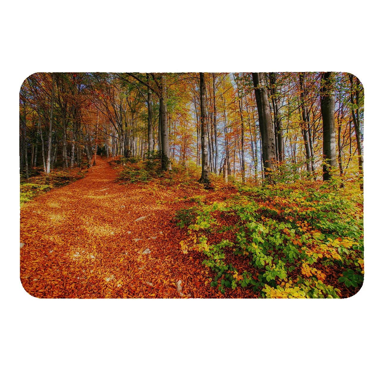 پادری طرح جنگل کد 5545 سایز 110× 80 سانتی متر