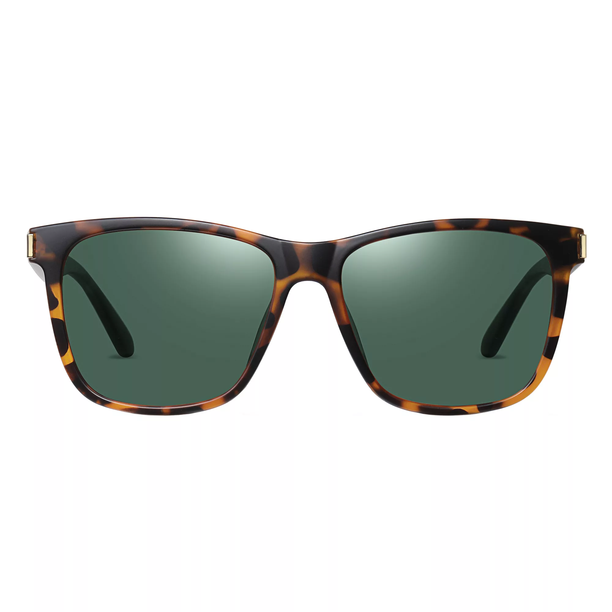 عینک آفتابی مدل TR3387C177-P25 Polarized Albert