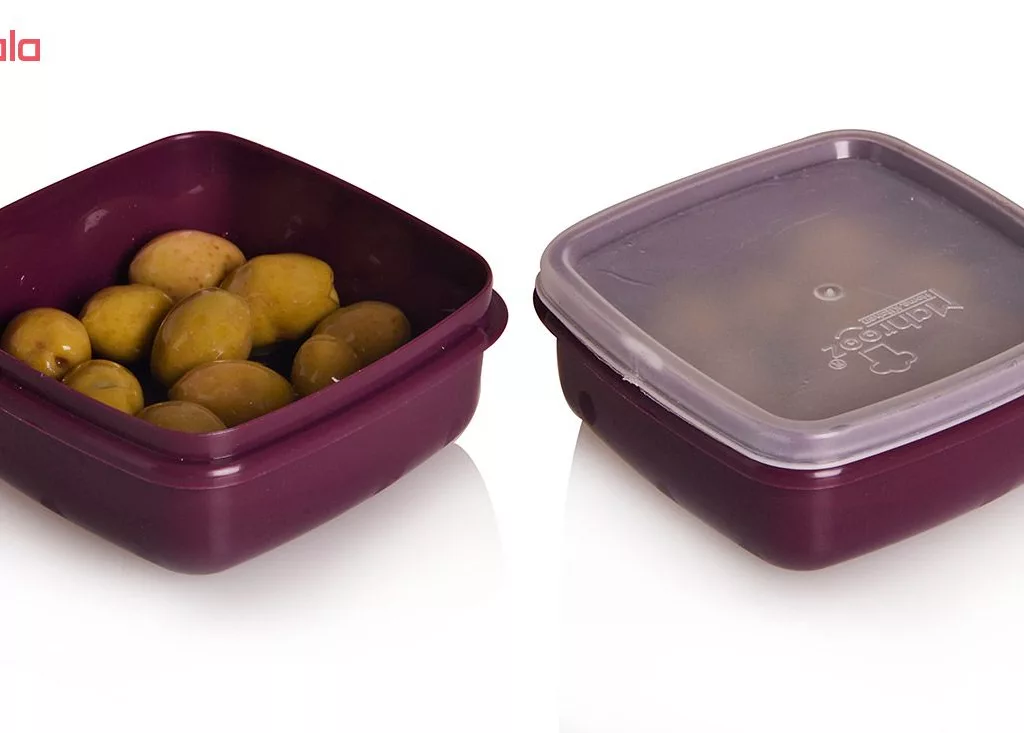 ظرف نگهدارنده مهروز مدل TL-005 بسته 5 عددی