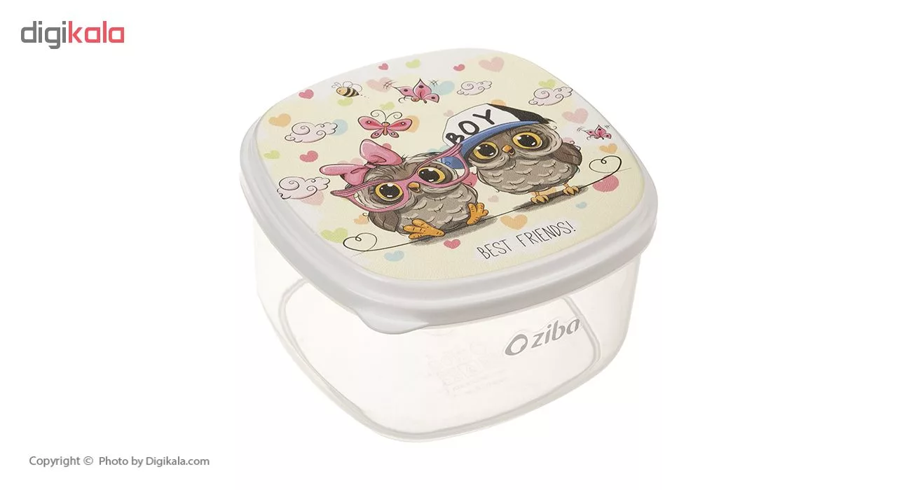 ظرف نگهدارنده زیبا کد 002 مجموعه ۴ عددی