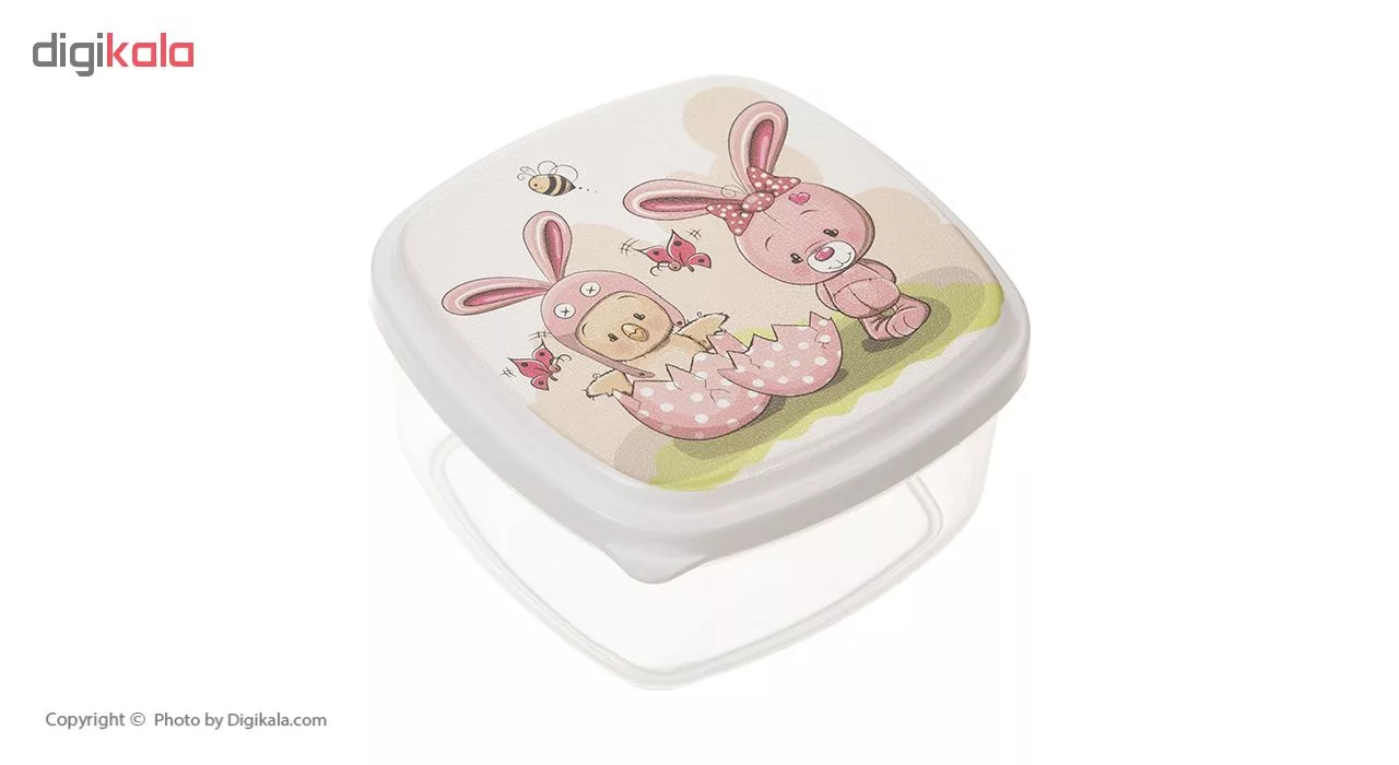 ظرف نگهدارنده زیبا کد ۰۰۳ مجموعه ۴ عددی