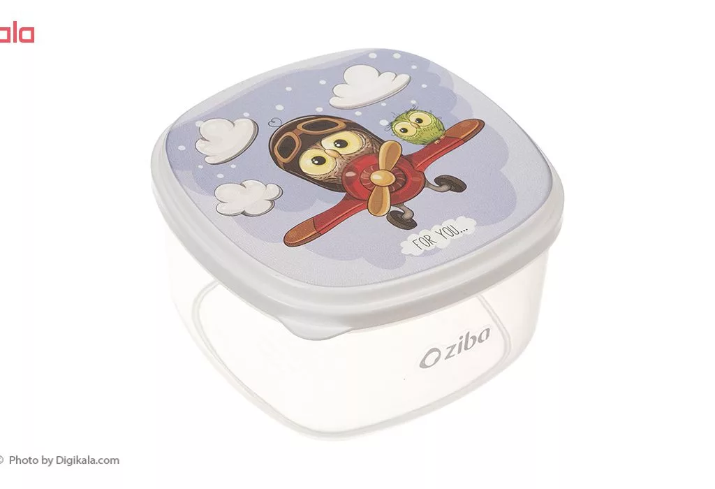 ظرف نگهدارنده زیبا کد ۰۰۶ مجموعه ۴ عددی