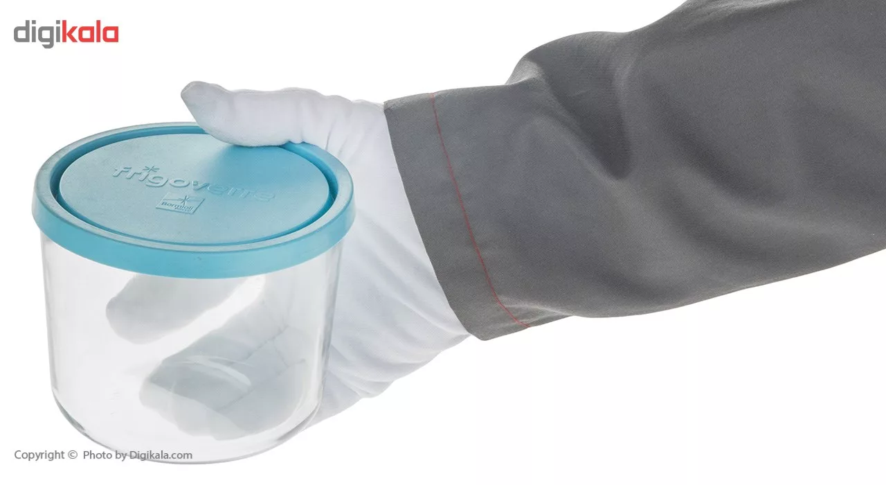 ظرف نگهدارنده فریگور کد 39140