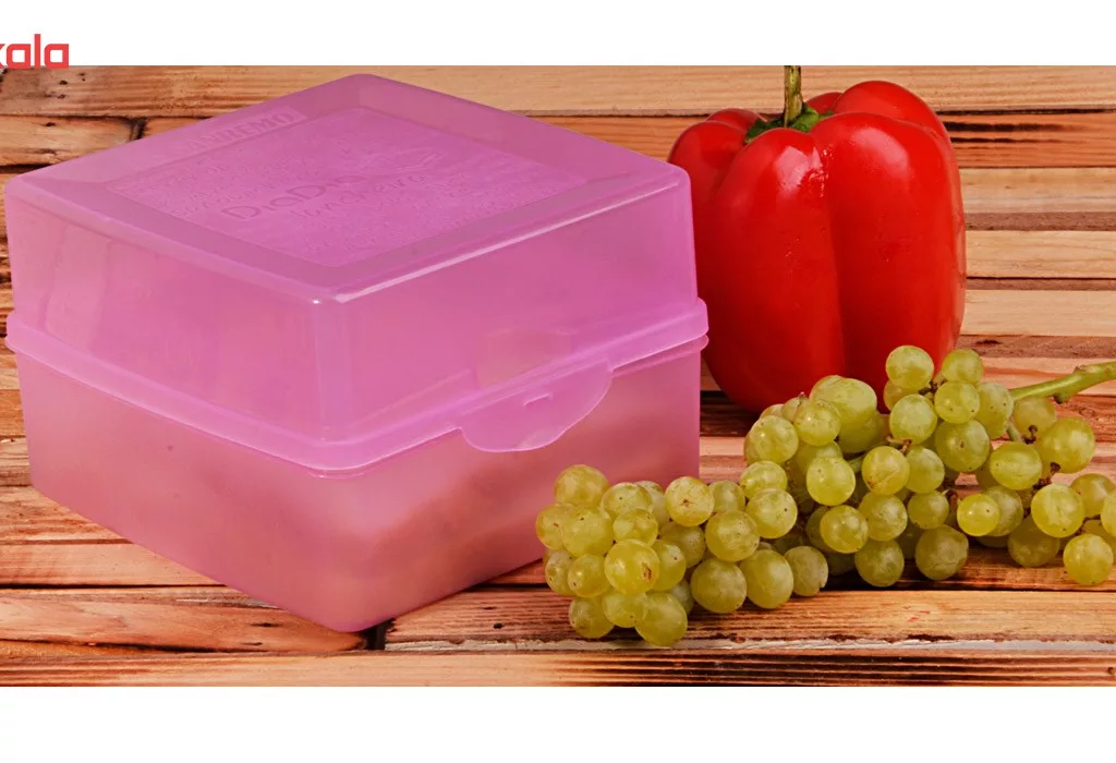 ظرف نگهدارنده سانرمو مدل 685