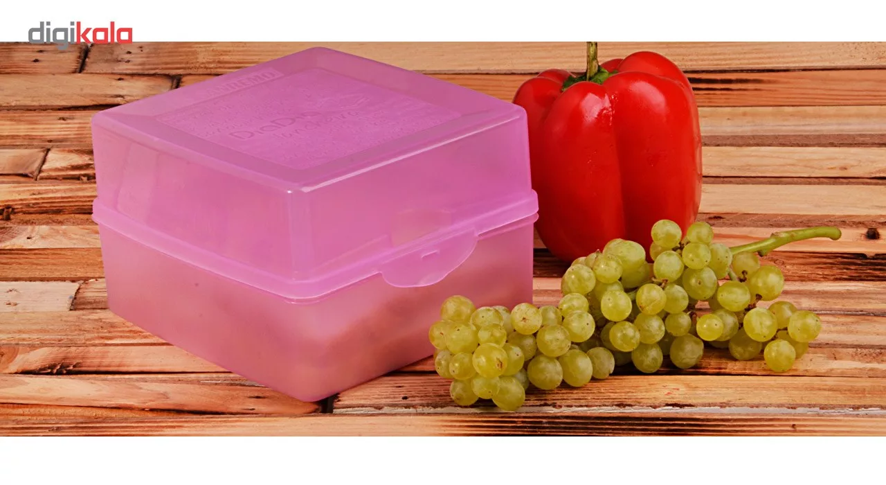 ظرف نگهدارنده سانرمو مدل 685