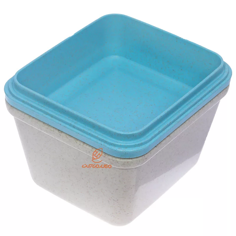 ظرف غذا مدل سه طبقه گیاهی B531