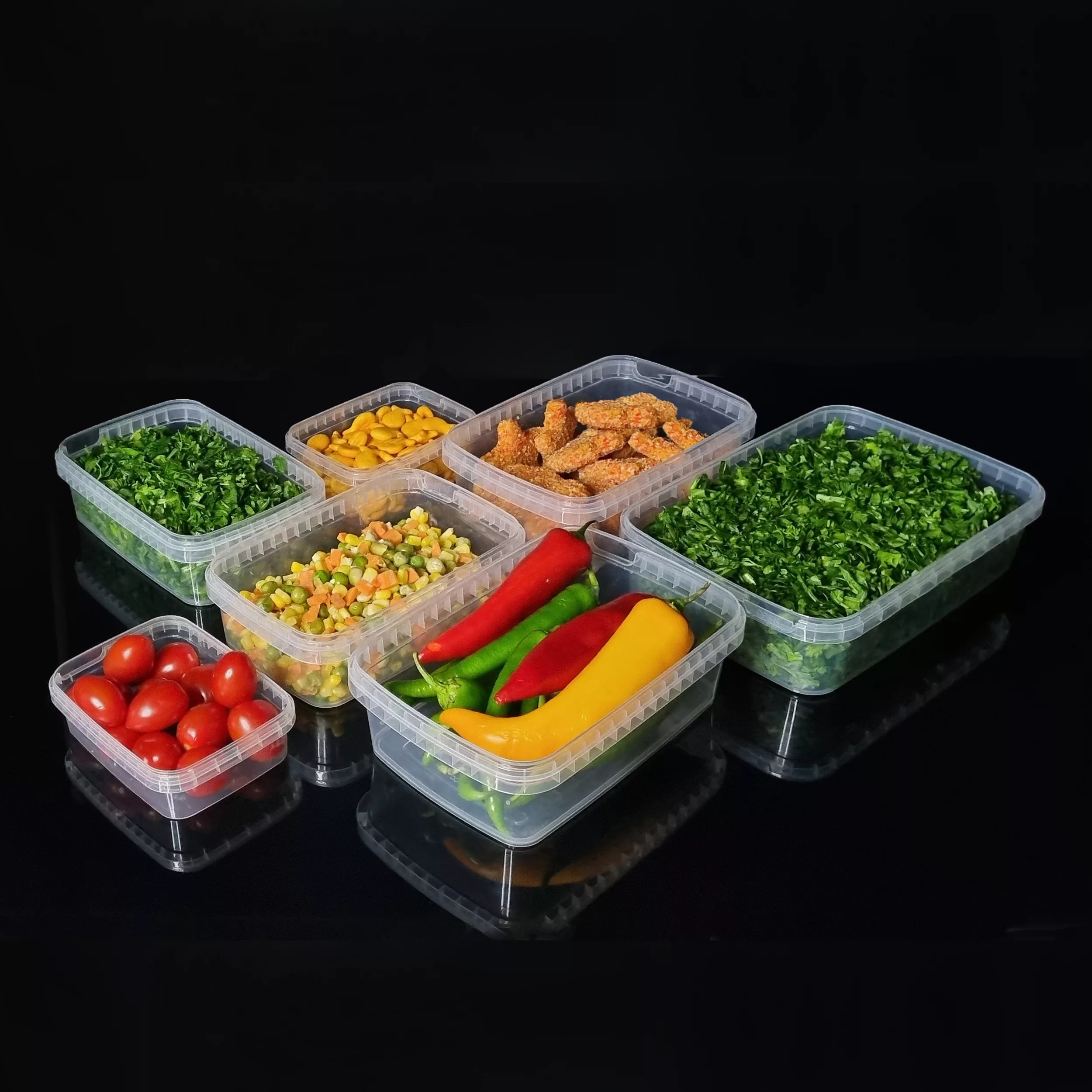 ظرف نگهدارنده پولاد پویش مدل فریزری و ماکروویوی کد 201 مجموعه 20 عددی