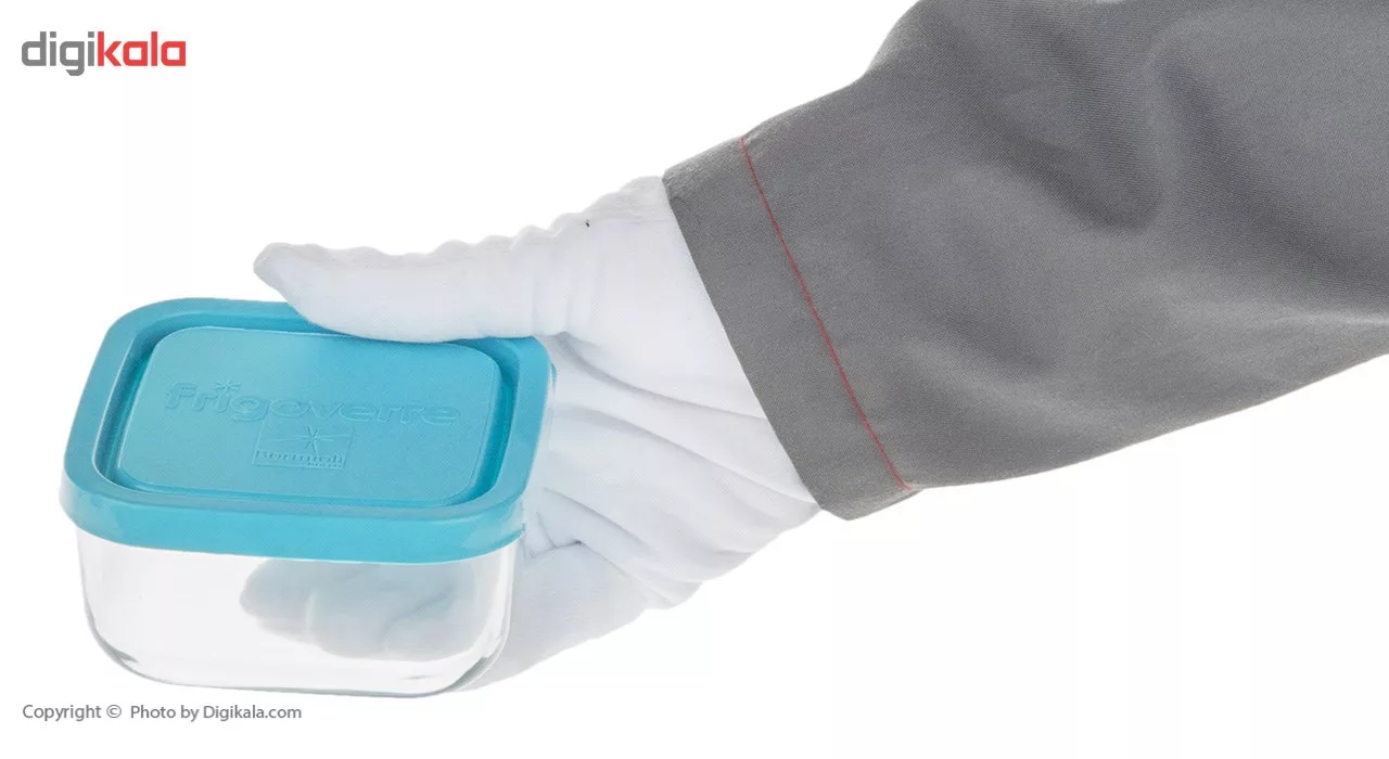 ظرف نگهدارنده فریگور کد 35190