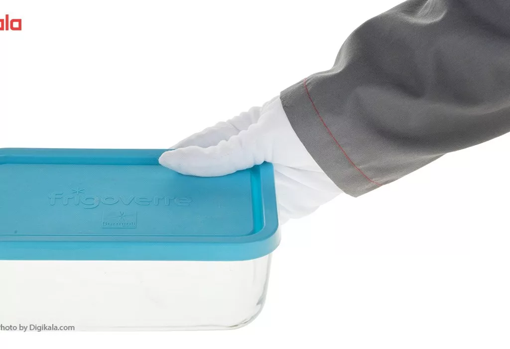 ظرف نگهدارنده فریگور کد 35160