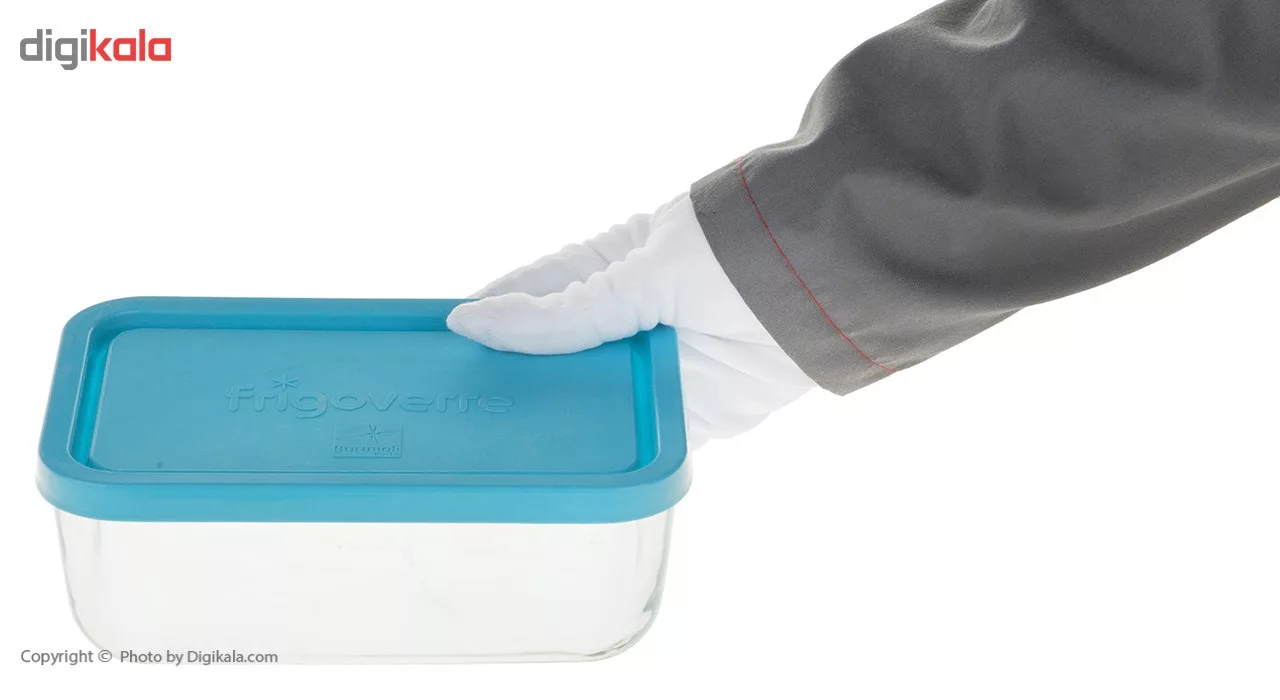 ظرف نگهدارنده فریگور کد 35160