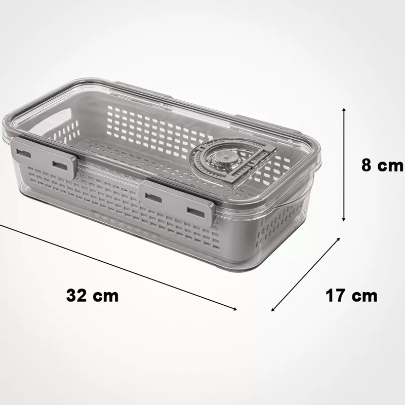 ظرف نگهدارنده لیمون مدل تاریخ دار کد DH2377