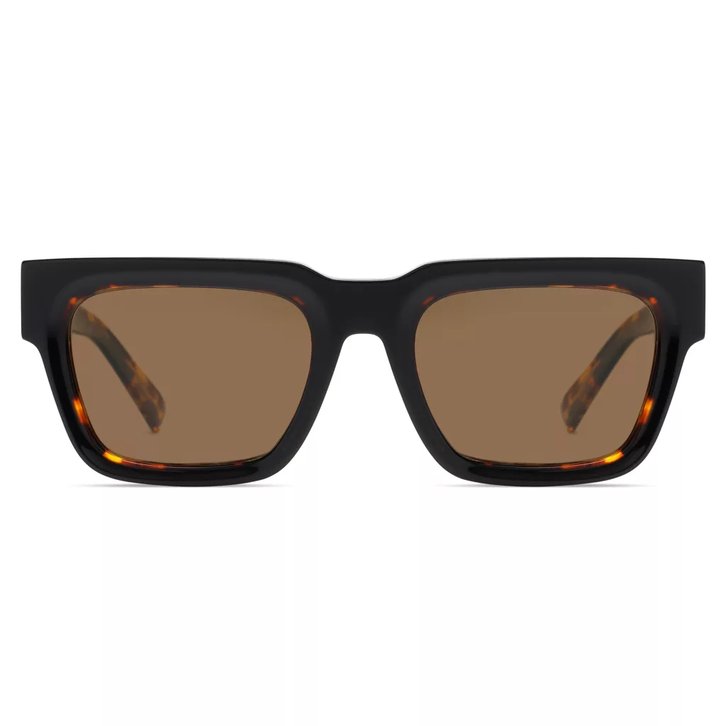 عینک آفتابی ویفرر (Wayfarer) آلبرت وگ مدل S32106C2 Acetate Avantgarde Visionary