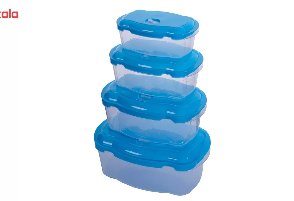 ظروف نگهدارنده روشا بسته 4 عددی