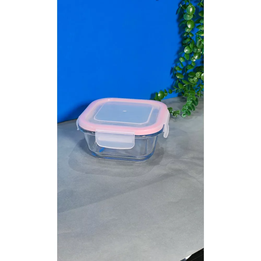 ظرف نگهدارنده مدل ماکسیم