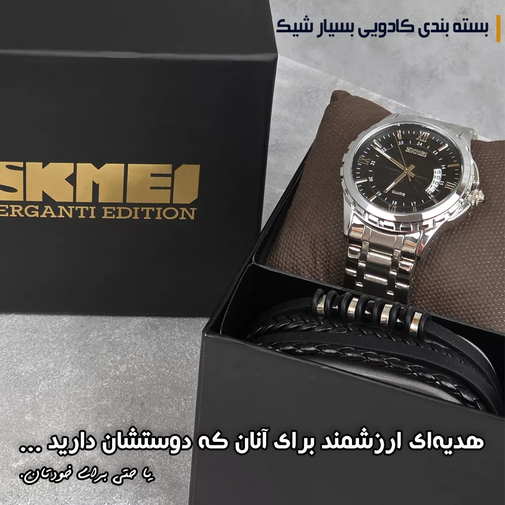 ساعت مچی عقربه‌ای کوارتز مردانه اسکمی مدل 9069SIBBK به همراه دستبند